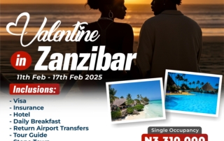 Tour Zanzibar