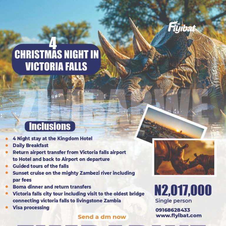 Tour Victoria Fall This Christmas